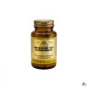 Zwitserse Apotheek|Pediakid Gummies Probiotics Gummies 60|Probiotics 2
