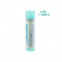 Zwitserse Apotheek|Avena Sativa  1 Mk (1000K) globules |A