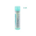 Zwitserse Apotheek|Andropogon Nardus 15D  solution |A