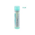 Zwitserse Apotheek|Acacia Farnesiana 5CH  globules |A