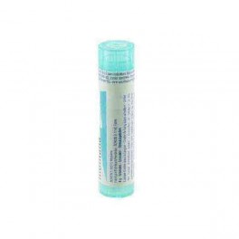 Zwitserse Apotheek|Passer Domesticus  15CH granules 4gr|P
