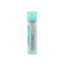 Zwitserse Apotheek|Aspidium Filix Mas  15CH  granules 4gr|A