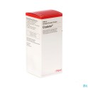 Zwitserse Apotheek|Traumeel Creme 50 Gr Heel|Homeopathie