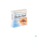 Zwitserse Apotheek|Traumeel Creme 50 Gr Heel|Homeopathie 2