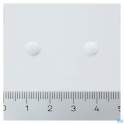 Zwitserse Apotheek|Canestene Derm Bifonazole 1 % Creme 15g|Mycoses 2