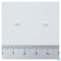 Pharma Nord  Bioactive mg 60 caps - Zwitserse Apotheek – Bestellen/Kaufen - Belgischen Internet Apotheke 2