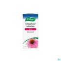 Vogel Echinaforce Forte Weerstandstabletten 60  - Zwitserse Apotheek – bestellen/kopen