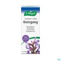 A Vogel  Famosan Salvia Pot NF 60 tabl - Zwitserse Apotheek – Bestellen/Kaufen - Belgischen Internet Apotheke 2