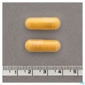 Nutrisan Curcuphyt 60 caps - Zwitserse Apotheek – ordering /buying  Online Pharmacy 2