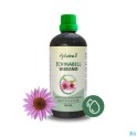 Fytobell Echinabell Nf 100 drup - Zwitserse Apotheek – Bestellen/Kaufen - Belgischen Internet Apotheke 2