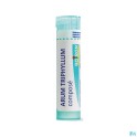 Zwitserse Apotheek|Reckeweg Dr. R26 Gutt 50ml|Homeopathie