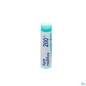 Zwitserse Apotheek|Acidum Oxalicum 8D  globules |A 2