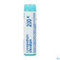 Zwitserse Apotheek|Ruta Graveolens Boiron 200K pilules 4 g|R