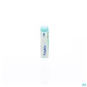 Zwitserse Apotheek|Argentum Metallicum  30 K globules |A 2