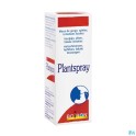 Zwitserse Apotheek|Traumeel Tabl. 250|Homopathie