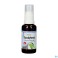 Zwitserse Apotheek|Physalis Eucalyforce Nasenspray 30 ml|Nase spritzt und fällt