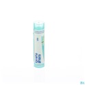 Zwitserse Apotheek|Inula Helenium 30K  globules |I