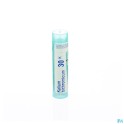Zwitserse Apotheek|Scutellaria Galericulata 200K  granules |S
