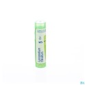 Zwitserse Apotheek|Conium Maculatum  4 Ch granules |C 2