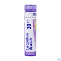 Zwitserse Apotheek|Sulfur Boiron 30K pilules 4 g|S 2