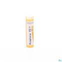 Zwitserse Apotheek|Pastinaca Sativa 7CH  granules |P 2