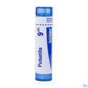 Zwitserse Apotheek|Pediculus Capiti  200 K globules |P