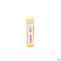 Zwitserse Apotheek|Phosphorus Triiodatus 6K  granules |P 2
