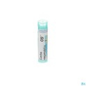 Zwitserse Apotheek|Causticum Hahnemanni  200K solution |C 2