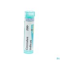 Zwitserse Apotheek|Arsenicum Album Boiron 200K pilules 4 g|A
