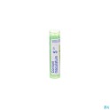Zwitserse Apotheek|Conium Maculatum  4 Ch granules |C