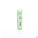 Zwitserse Apotheek|Iris Versicolor  5CH solution |I