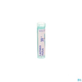 Zwitserse Apotheek|Lachesis Mutus Boiron 30K Streukügelchen 4 g|L