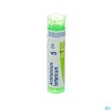 Zwitserse Apotheek|Ambrosia Artemisiaefolia 9CH  globules |A