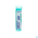 Zwitserse Apotheek||PPulsatilla 200k Gr 4g Boiron
