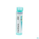 Zwitserse Apotheek||PPulsatilla 200k Gr 4g Boiron