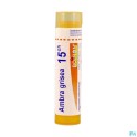 Zwitserse Apotheek|Acidum Nitricum 3LM  solution |A
