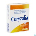 Zwitserse Apotheek|B-iron Nutridoses Caps 50 Boiron|Iron