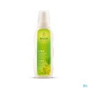 Zwitserse Apotheek|Weleda Calendula Ointment 25g|Bodymilk and oil