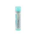 Zwitserse Apotheek|Plevre 7CH  globules |P