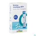 Zwitserse Apotheek|Traumeel Tabl. 250|Homopathie