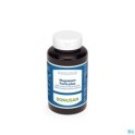 Zwitserse Apotheek|Magnesium B6 Pg Pharmagenerix Caps 60|Magnesium 2