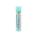 Zwitserse Apotheek|Silicea   4CH solution |S