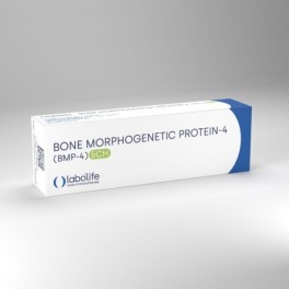 Zwitserse Apotheek|Labolife BMP4 5CH 30 Kapseln|Labo´Life